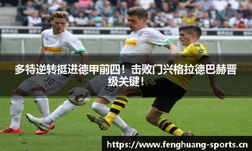 凤凰体育