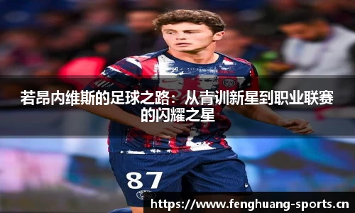 凤凰体育官网